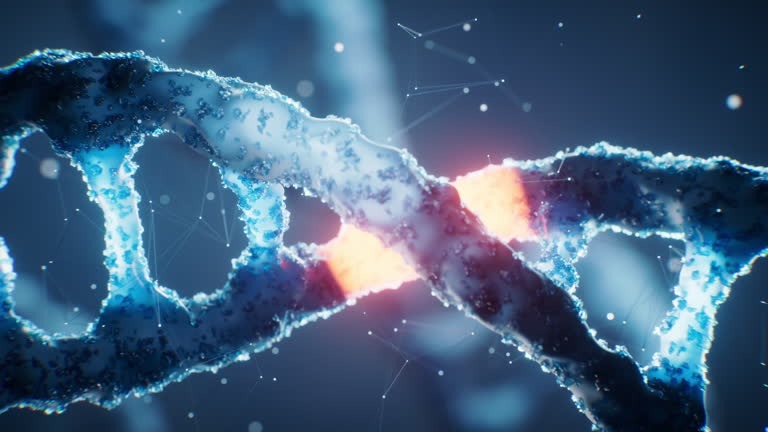Genetic Testing and Its Role in Personalized Family Health Plans